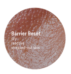 Barrier Reset System