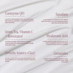 Megadose Super Antioxidant Face Moisturizer