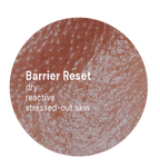 Barrier Reset System