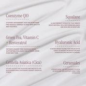 Megadose Super Antioxidant Face Moisturizer