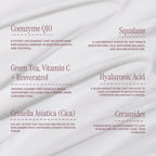 Megadose Super Antioxidant Face Moisturizer